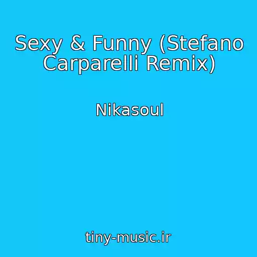 کاور آهنگ Sexy & Funny (Stefano Carparelli Remix) از Nikasoul