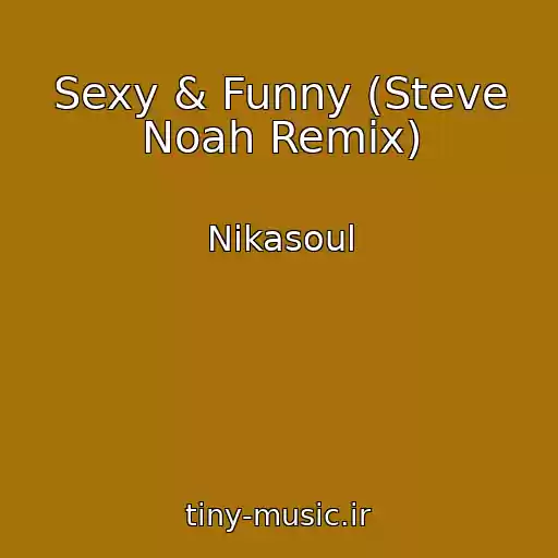 کاور آهنگ Sexy & Funny (Steve Noah Remix) از Nikasoul