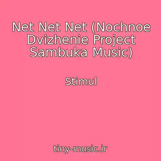 کاور آهنگ Net Net Net (Nochnoe Dvizhenie Project Sambuka Music) از Stimul
