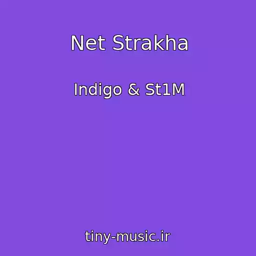 کاور آهنگ Net Strakha از Indigo & St1M