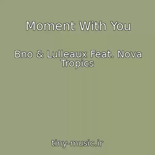 کاور آهنگ Moment With You از Bno & Lulleaux Feat. Nova Tropics