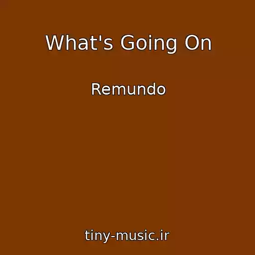 کاور آهنگ What's Going On از Remundo