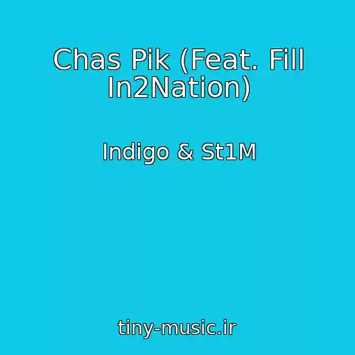 کاور آهنگ Chas Pik (Feat. Fill In2Nation) از Indigo & St1M