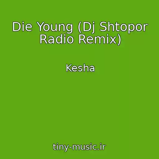 کاور آهنگ Die Young (Dj Shtopor Radio Remix) از Kesha