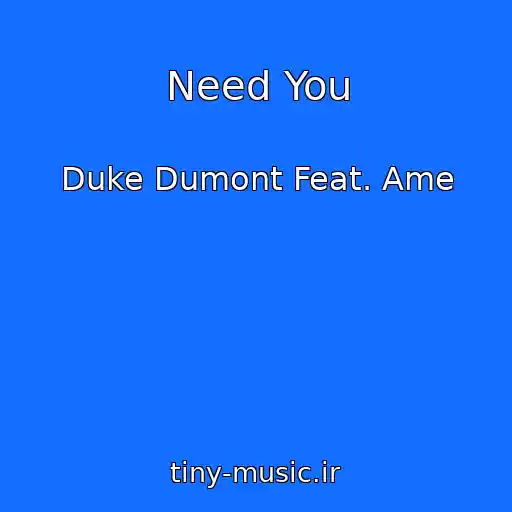 کاور آهنگ Need You از Duke Dumont Feat. Ame