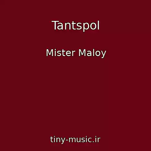 کاور آهنگ Tantspol از Mister Maloy