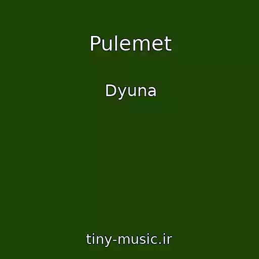 کاور آهنگ Pulemet از Dyuna