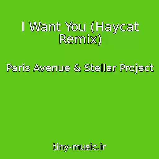 کاور آهنگ I Want You (Haycat Remix) از Paris Avenue & Stellar Project