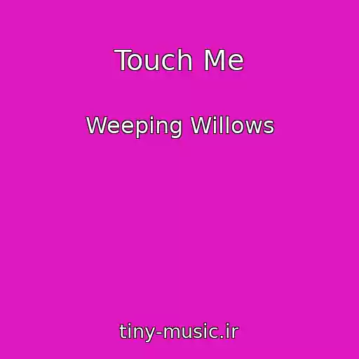 کاور آهنگ Touch Me از Weeping Willows