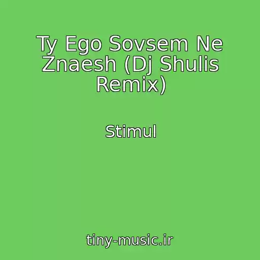 کاور آهنگ Ty Ego Sovsem Ne Znaesh (Dj Shulis Remix) از Stimul