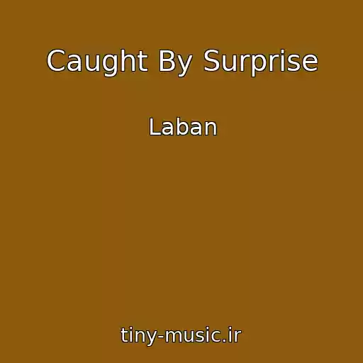 کاور آهنگ Caught By Surprise از Laban