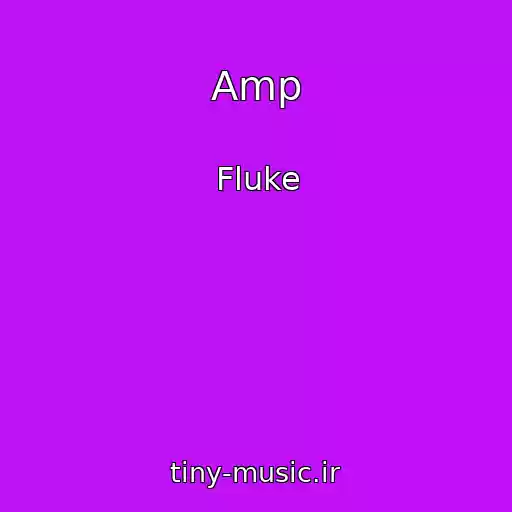 کاور آهنگ Amp از Fluke