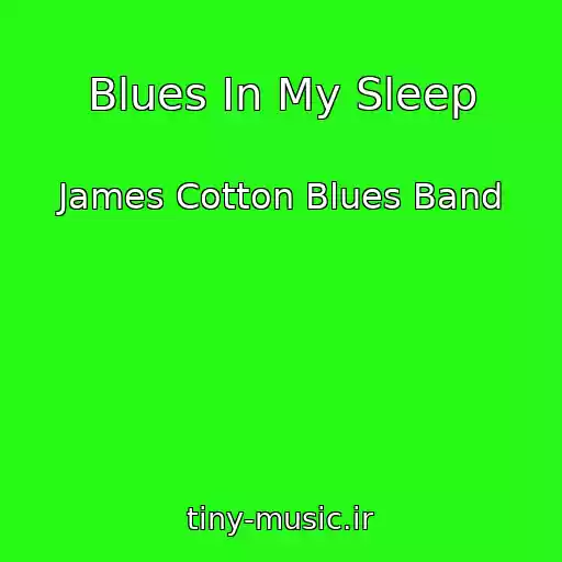 کاور آهنگ Blues In My Sleep از James Cotton Blues Band