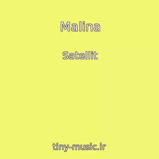 کاور آهنگ Malina از Satellit