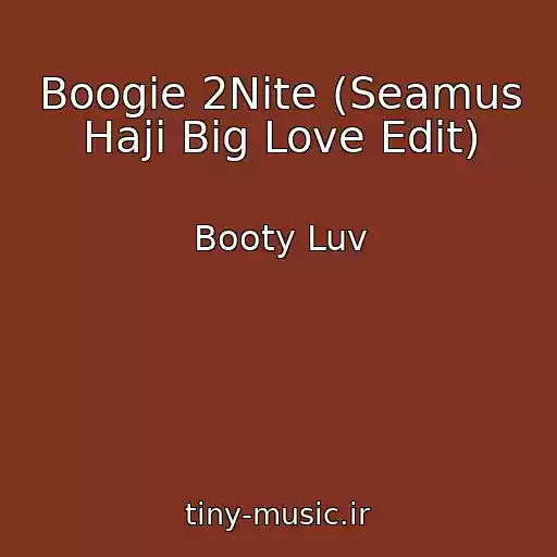 کاور آهنگ Boogie 2Nite (Seamus Haji Big Love Edit) از Booty Luv