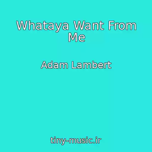 کاور آهنگ Whataya Want From Me از Adam Lambert