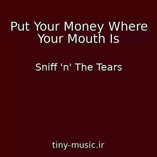 کاور آهنگ Put Your Money Where Your Mouth Is از Sniff 'n' The Tears