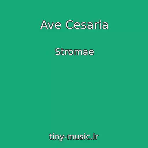 کاور آهنگ Ave Cesaria از Stromae