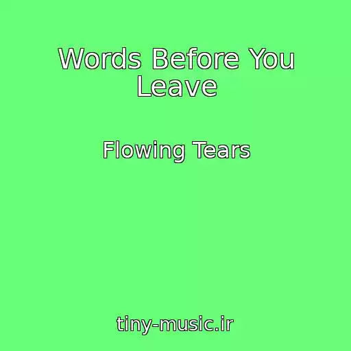 کاور آهنگ Words Before You Leave از Flowing Tears