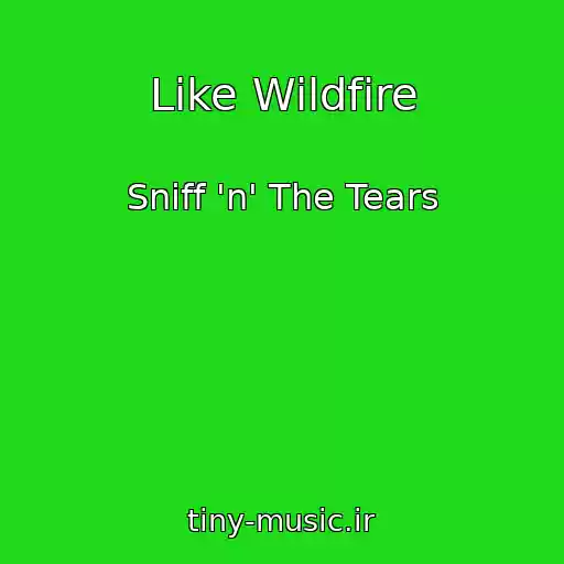 کاور آهنگ Like Wildfire از Sniff 'n' The Tears