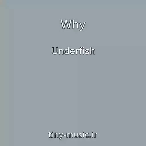 کاور آهنگ Why از Underfish