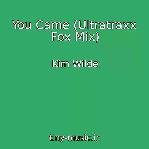 کاور آهنگ You Came (Ultratraxx Fox Mix) از Kim Wilde