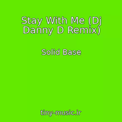 کاور آهنگ Stay With Me (Dj Danny D Remix) از Solid Base