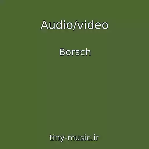 کاور آهنگ Audio/video از Borsch