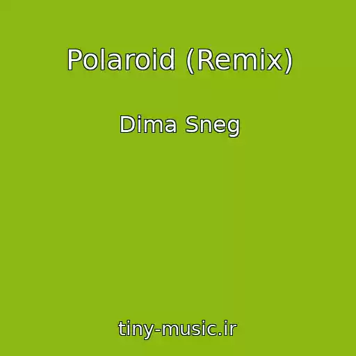 کاور آهنگ Polaroid (Remix) از Dima Sneg