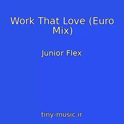 کاور آهنگ Work That Love (Euro Mix) از Junior Flex