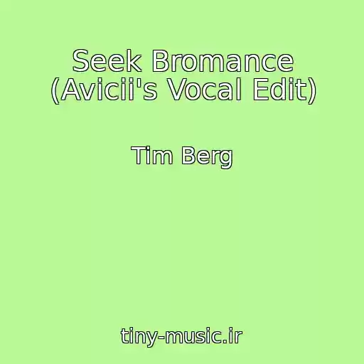 کاور آهنگ Seek Bromance (Avicii's Vocal Edit) از Tim Berg