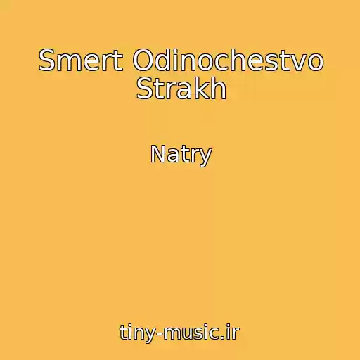 کاور آهنگ Smert Odinochestvo Strakh از Natry