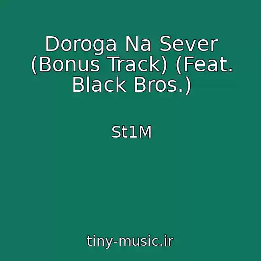 کاور آهنگ Doroga Na Sever (Bonus Track) (Feat. Black Bros.) از St1M