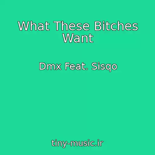 کاور آهنگ What These Bitches Want از Dmx Feat. Sisqo