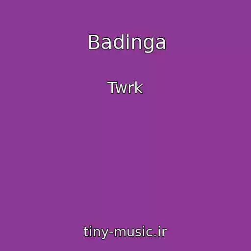 کاور آهنگ Badinga از Twrk