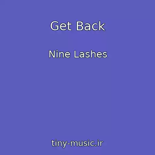 کاور آهنگ Get Back از Nine Lashes