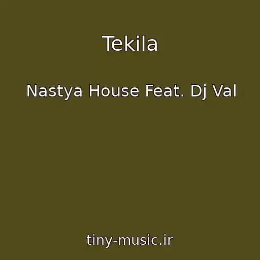 کاور آهنگ Tekila از Nastya House Feat. Dj Val