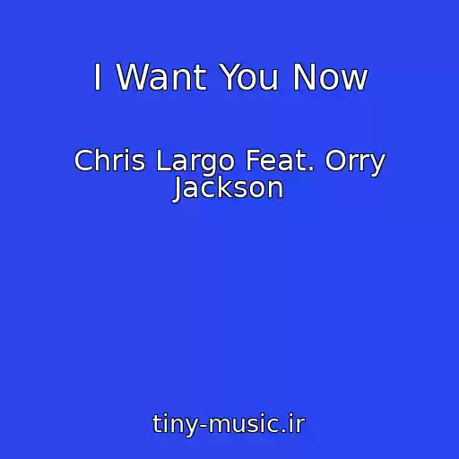 کاور آهنگ I Want You Now از Chris Largo Feat. Orry Jackson