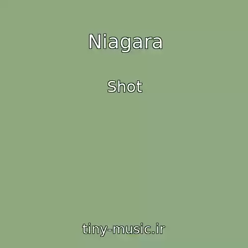 کاور آهنگ Niagara از Shot