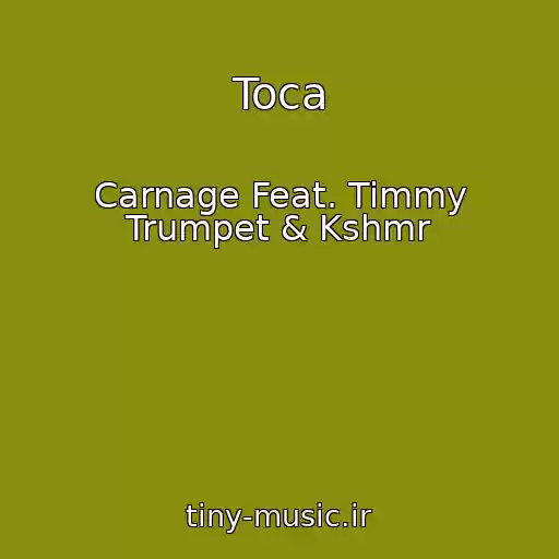 کاور آهنگ Toca از Carnage Feat. Timmy Trumpet & Kshmr
