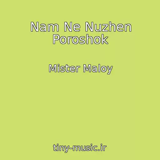 کاور آهنگ Nam Ne Nuzhen Poroshok از Mister Maloy