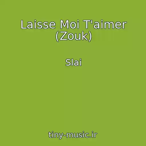 کاور آهنگ Laisse Moi T'aimer (Zouk) از Slai