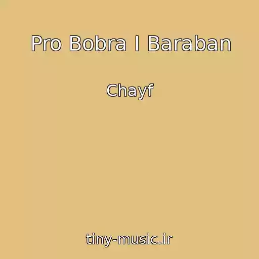 کاور آهنگ Pro Bobra I Baraban از Chayf
