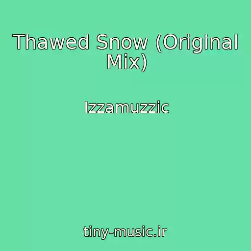 کاور آهنگ Thawed Snow (Original Mix) از Izzamuzzic