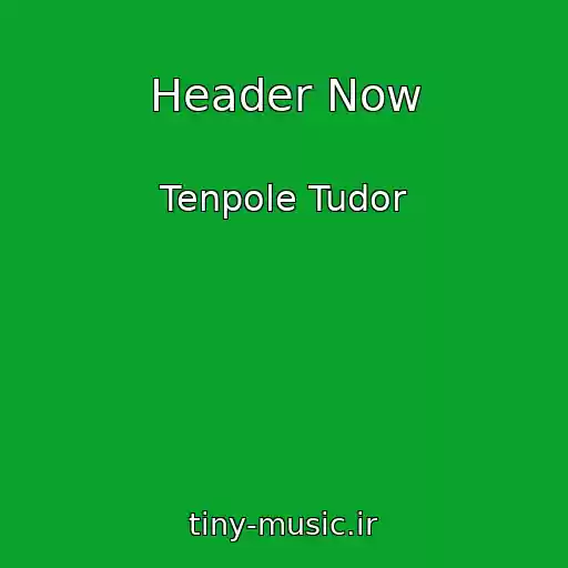 کاور آهنگ Header Now از Tenpole Tudor