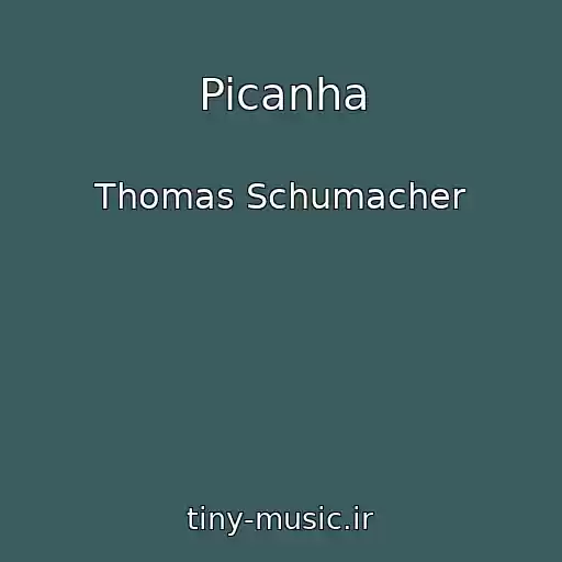 کاور آهنگ Picanha از Thomas Schumacher