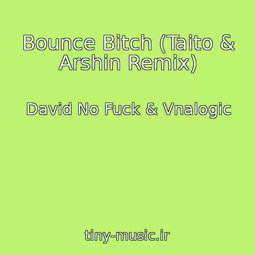 کاور آهنگ Bounce Bitch (Taito & Arshin Remix) از David No Fuck & Vnalogic