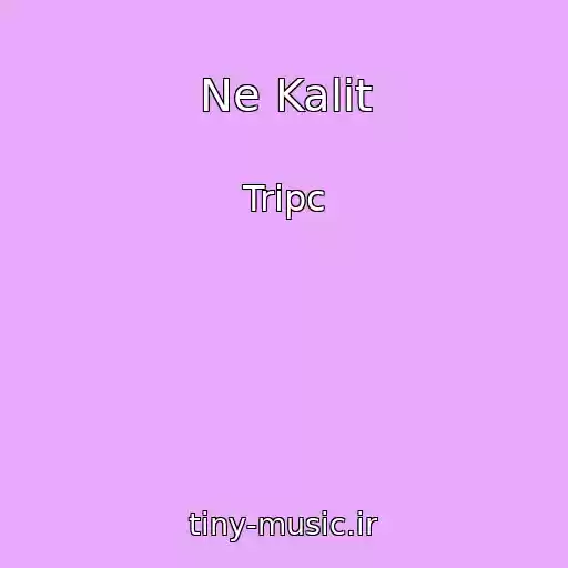 کاور آهنگ Ne Kalit از Tripc