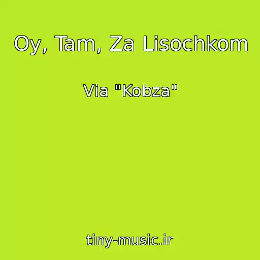 کاور آهنگ Oy, Tam, Za Lіsochkom از Vіa "Kobza"