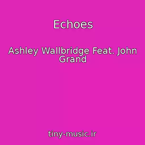 کاور آهنگ Echoes از Ashley Wallbridge Feat. John Grand